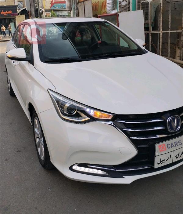 شانجان السفن 2020 للبيع في العراق - النجف